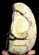 Septarian Dragon Egg Geode - Black Crystals #37288-2